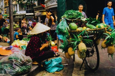 10-Day North and Central Vietnam Tour - Highlights and Cultural Journey